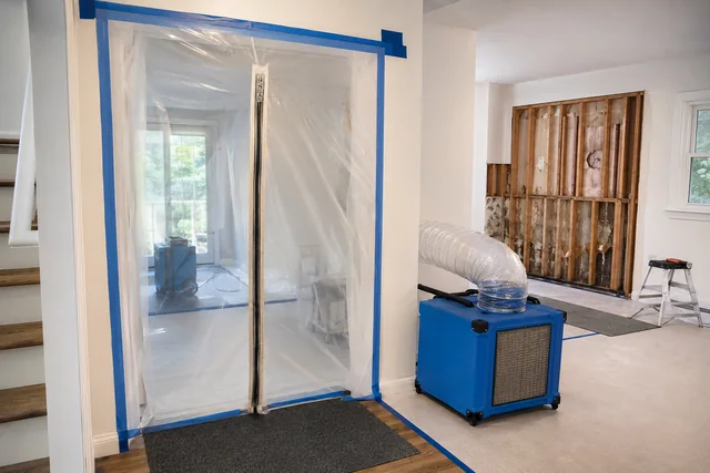 Mold Remediation service illustration